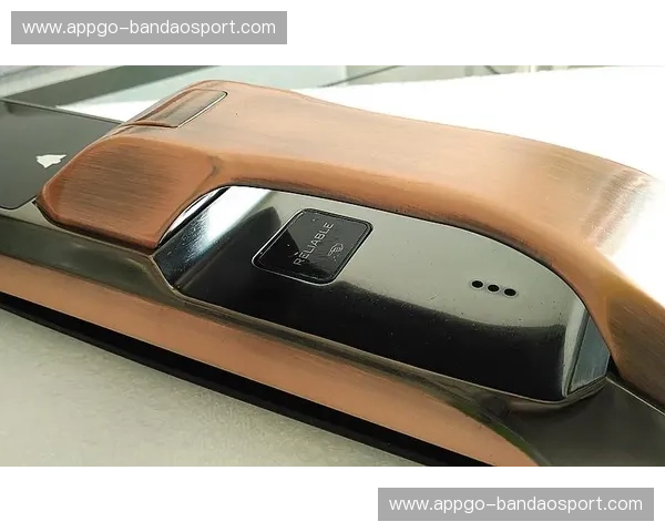 开云下载——开启奢华时尚新体验的最佳通道